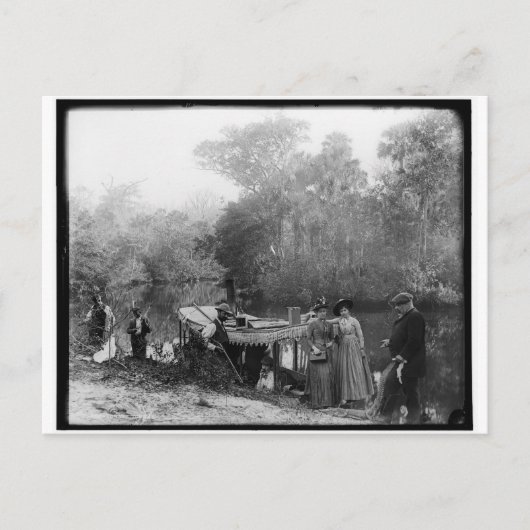 Alligator Hunting, Tomoka River, Florida 1880-1897 Briefkaart (Voorkant)