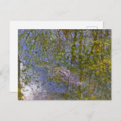 Alligator in Big Cypress National Preserve Florida Briefkaart (Voorkant / Achterkant)
