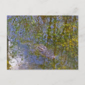 Alligator in Big Cypress National Preserve Florida Briefkaart (Voorkant)