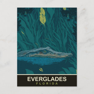 Alligator in de Everglades, Florida, Reizen Briefkaart