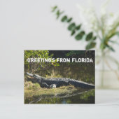 Alligator in de zon Personaliseer Briefkaart (Staand voorkant)