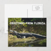 Alligator in de zon Personaliseer Briefkaart (Voorkant / Achterkant)