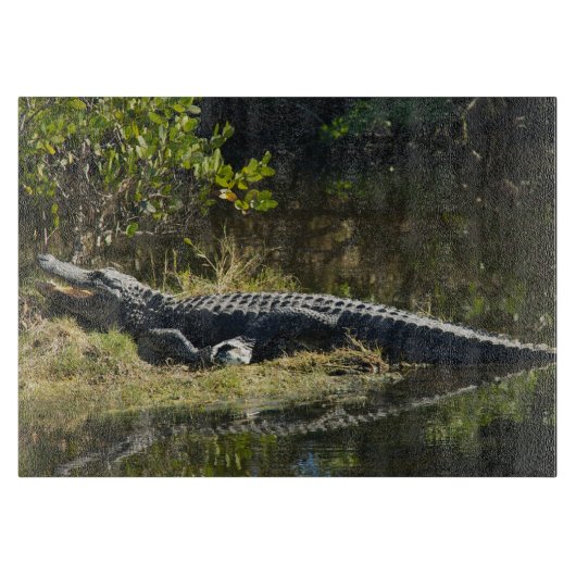 Alligator in de zon snijplank (Voorkant)