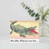 Alligator in Florida Briefkaart (Staand voorkant)