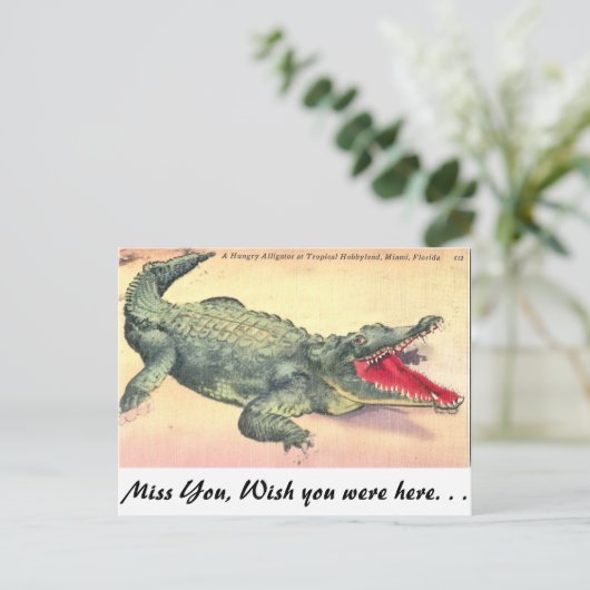 Alligator in Florida Briefkaart (Staand voorkant)