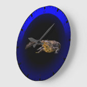 Alligator in Florida Grote Klok (Hoek)