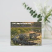 Alligator in het Everglades National Park Briefkaart (Staand voorkant)