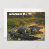 Alligator in het Everglades National Park Briefkaart (Voorkant / Achterkant)
