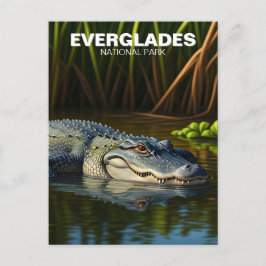 Alligator in het Everglades National Park Briefkaart