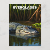 Alligator in het Everglades National Park Briefkaart (Voorkant)