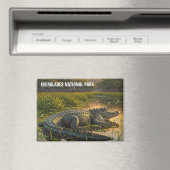 Alligator in het Everglades National Park Magneet (Insitu (Vaatwasser))