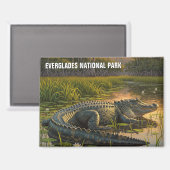 Alligator in het Everglades National Park Magneet (Voorkant / Achterkant)