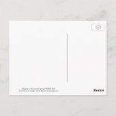 Alligator in het natuurpark Homosassa Springs Briefkaart (Achterkant)