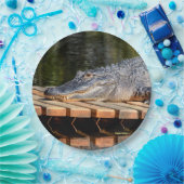 Alligator in het natuurpark Homosassa Springs Papieren Bordje (Feest)