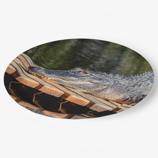 Alligator in het natuurpark Homosassa Springs Papieren Bordje (Gekanteld)