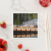 Alligator in het natuurpark Homosassa Springs Servetten (Insitu)