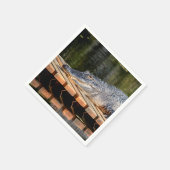 Alligator in het natuurpark Homosassa Springs Servetten (Hoek)