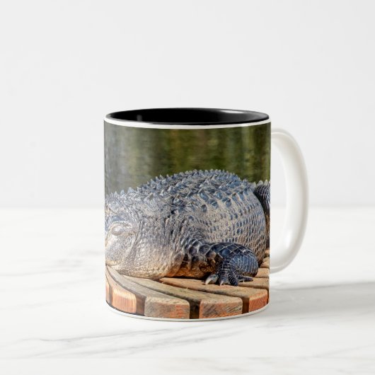 Alligator in het natuurpark Homosassa Springs Tweekleurige Koffiemok (Voorkant rechts)