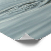 Alligator in het water poster (Hoek)