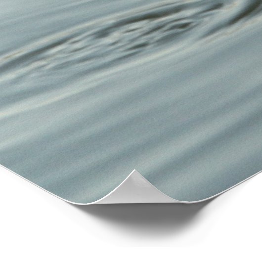 Alligator in het water poster (Hoek)