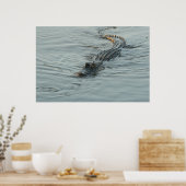 Alligator in het water poster (Keuken)