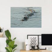 Alligator in het water poster (Thuiskantoor)