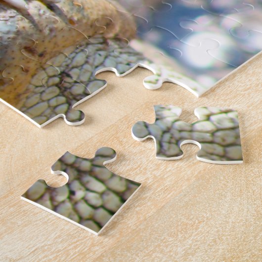 Alligator in Mississippi. Legpuzzel (Zijkant)