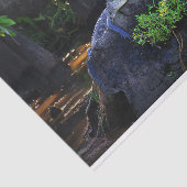 Alligator in moeras tissuepapier (Detail)