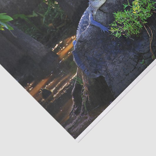 Alligator in moeras tissuepapier (Detail)