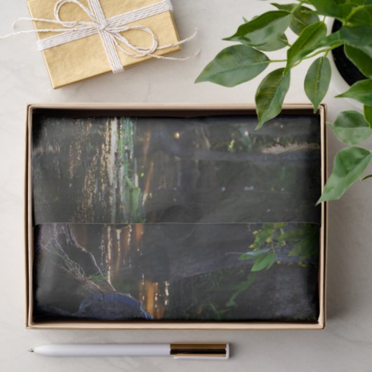 Alligator in moeras tissuepapier (Geschenk)