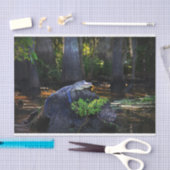 Alligator in moeras tissuepapier (Craft)