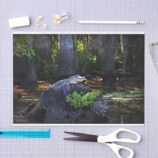 Alligator in moeras tissuepapier (Craft)