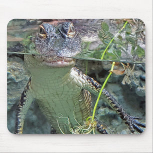 Alligator in obligatie muismat