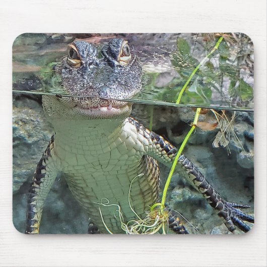 Alligator in obligatie muismat (Voorkant)