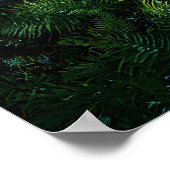 Alligator in ondiep wetlandwater poster (Hoek)
