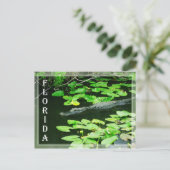 Alligator in The Everglades National Park, Florida Briefkaart (Staand voorkant)