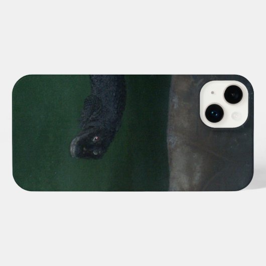 Alligator iPhone Case iPhone Hoesje (Achterkant horizontaal)