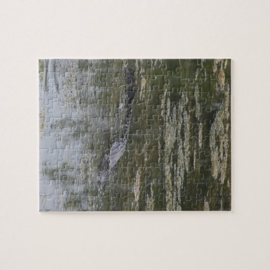 Alligator Jigzaag Puzzle Legpuzzel (Horizontaal)