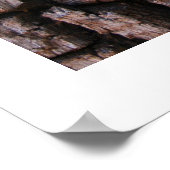 Alligator Juniper Bark Poster (Hoek)