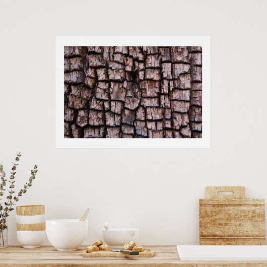 Alligator Juniper Bark Poster (Keuken)