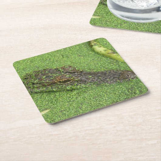 Alligator Kartonnen Onderzetters (Schuin)