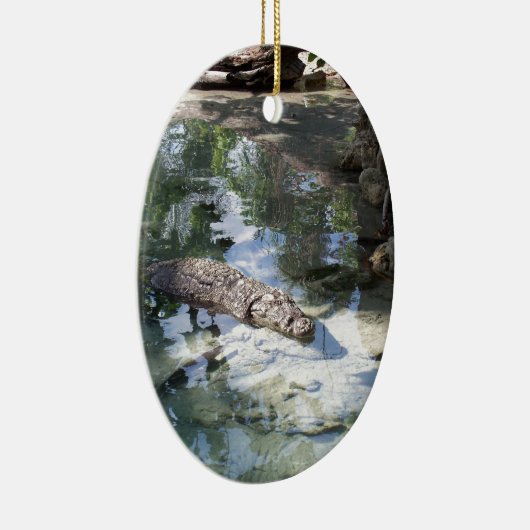 Alligator Keramisch Ornament (Rechts)