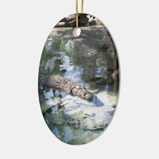 Alligator Keramisch Ornament (Links)