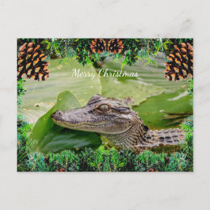 Alligator Kerst Kaart