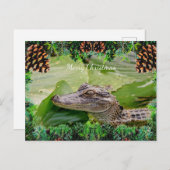 Alligator Kerst Kaart (Voorkant / Achterkant)