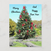 Alligator-kerstBriefkaart Briefkaart (Voorkant)