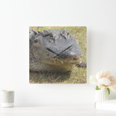 Alligator-klok Vierkante Klok (Huis)