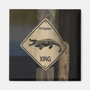 Alligator kruismagneet magneet