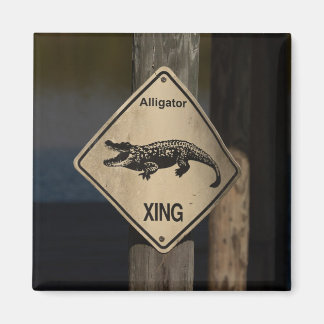Alligator kruismagneet magneet