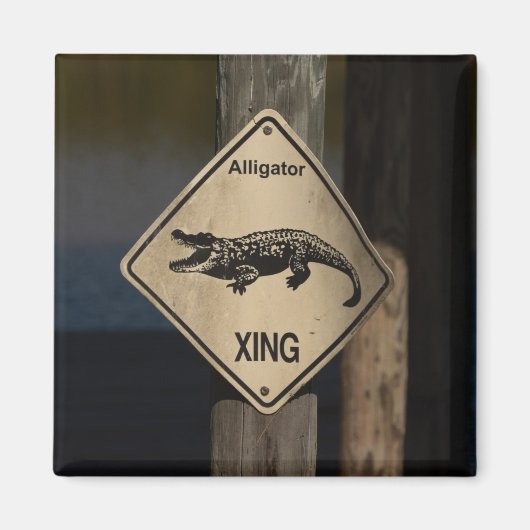 Alligator kruismagneet magneet (Voorkant)
